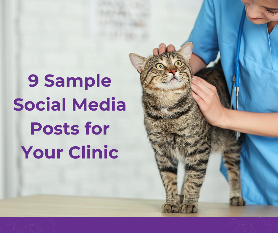 Social Media Guide to Posting for Veterinary Clinics (3)